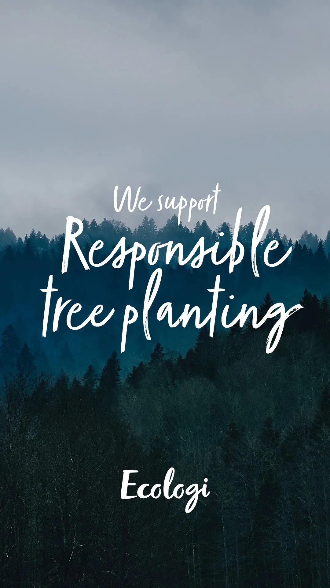 Our Ecologi forest